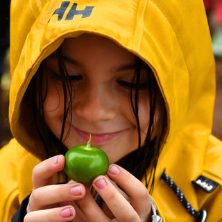Smiling girl in yellow raincoat holding a green tomato