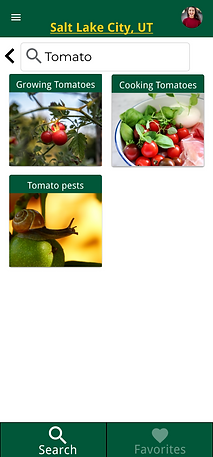 Overall Screen Component.png