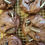 Thumbnail: Cookies n CreamMe