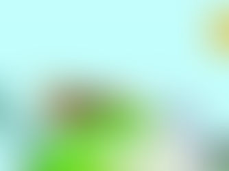 玩轉地球-Create Your Own Country Q&A