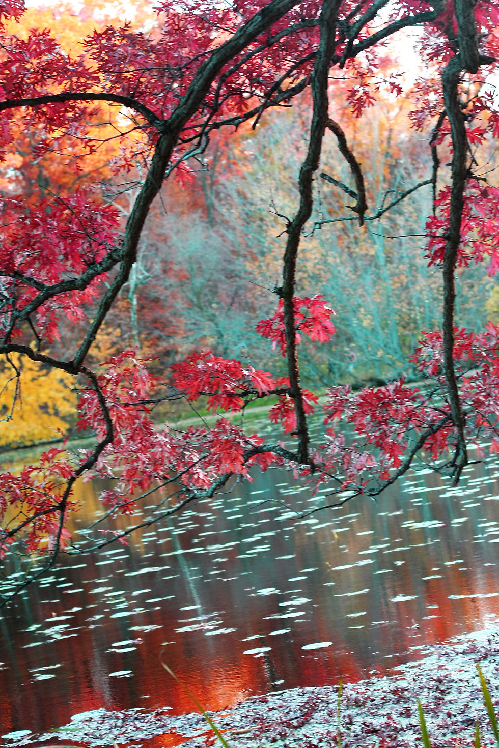 fall0122