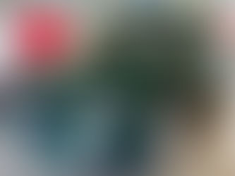 Les meilleures youngtimers daily