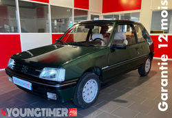 205 coupé Rolad Garros 4