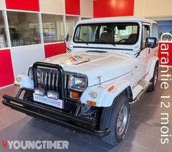Jeep Wrangler 2,5L