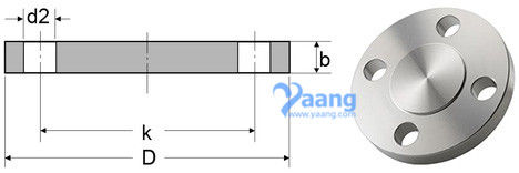 DIN Blind Flange
