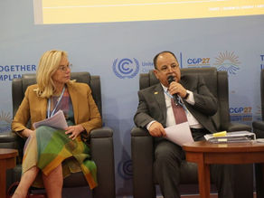 Green finance framework required for Africa to deliver low-carbon future: Egypt's Maait