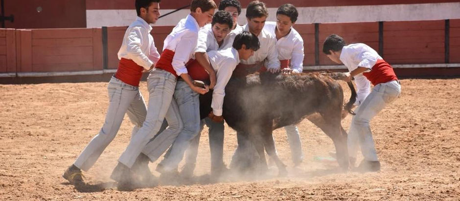Demonstração de pegas em Coruche