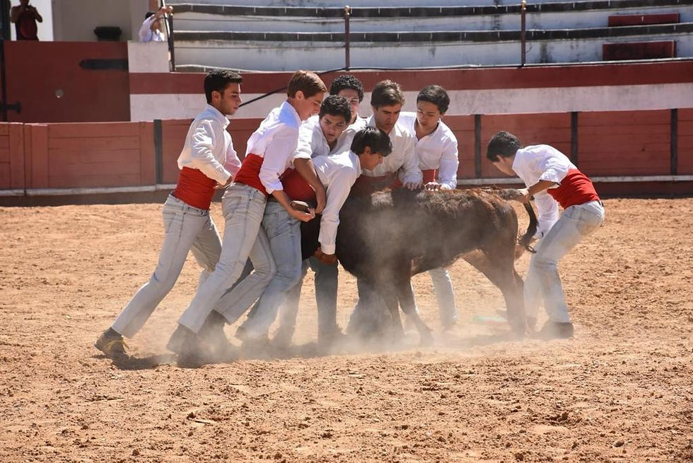 Demonstração de pegas em Coruche