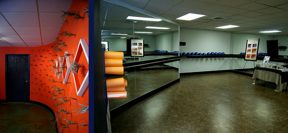 Bare Elements Gym