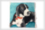Ludo
