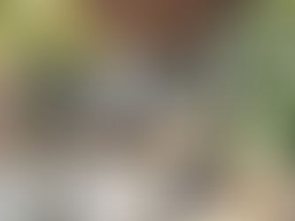 Vakantiegevoel in eigen tuin