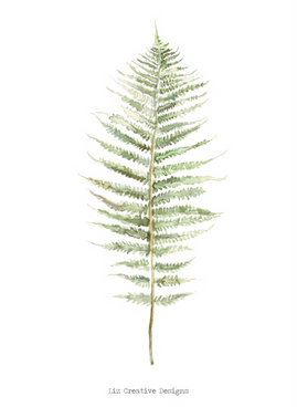 Botanic_Illustratie_intratuin_02.png