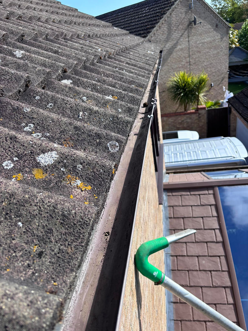 clean gutter