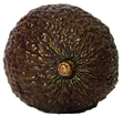 Avokado 1 (1).png