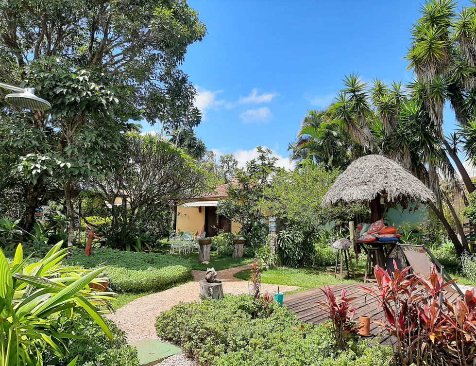 Jardim