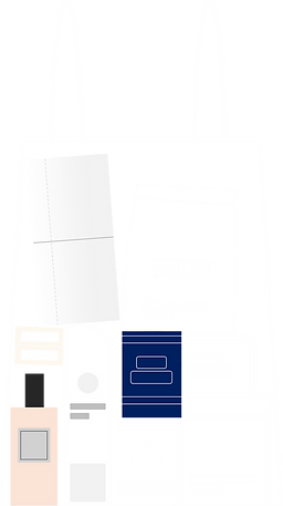 What goes in the bag 2.png