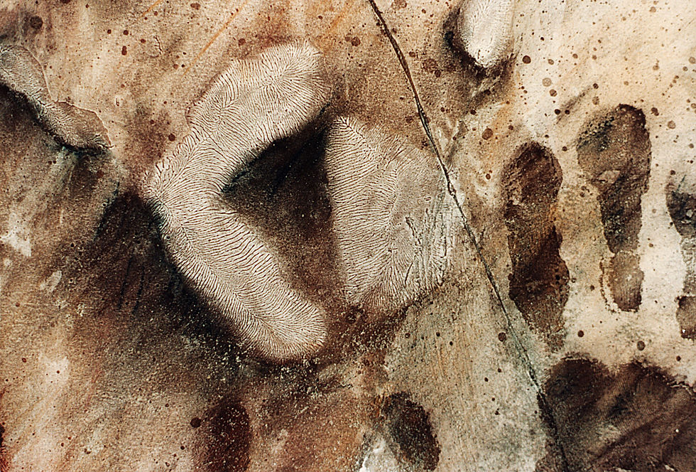 Mathematica Material MATERIALS