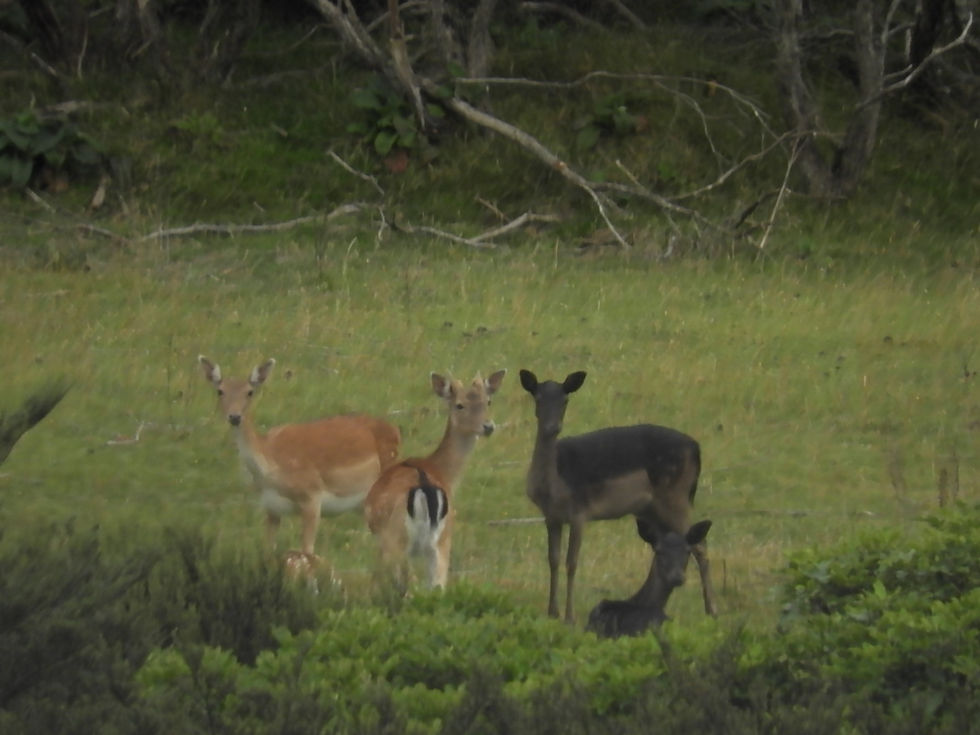 DSCN0318.JPG