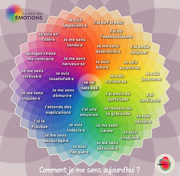 La roue des émotions de Yes Experience  Intelligence et conscience collectives 