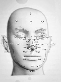 Nao Verbal, microexpressions, linguagem corporal, Sinergologia