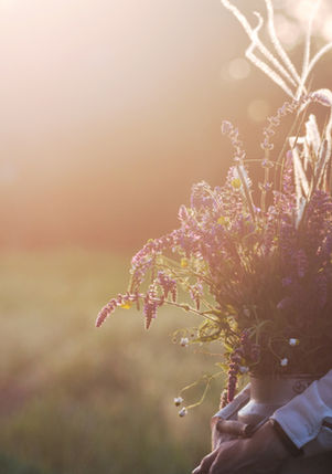 Natürliche Unterstützung durch Phytotherapie auch für empfindliche Hunde