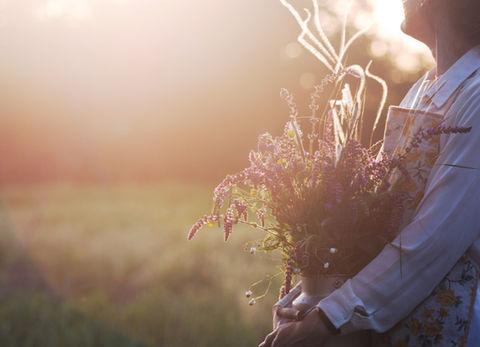 Natürliche Unterstützung durch Phytotherapie auch für empfindliche Hunde