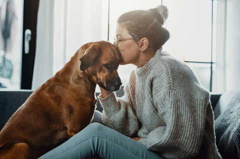 Halterin begleitet empfindlichen Hund im Alltag