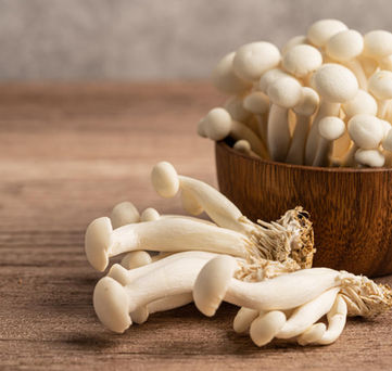 Vitalpilze als Teil einer ruhigen Ernährungsbegleitung