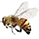 abeja suelta copy editado.png