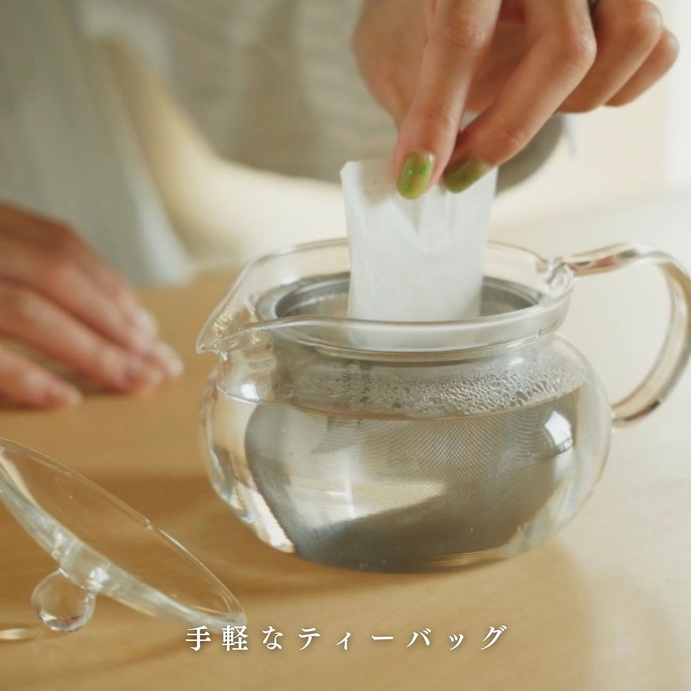 サムネイル： 天膳茶　すっきりプラス　10包入