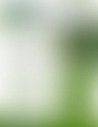 cal poly humboldt flyer about the regenerative cannabis management project, documenting the diversity of licensed cannabis cultivation across Northern California