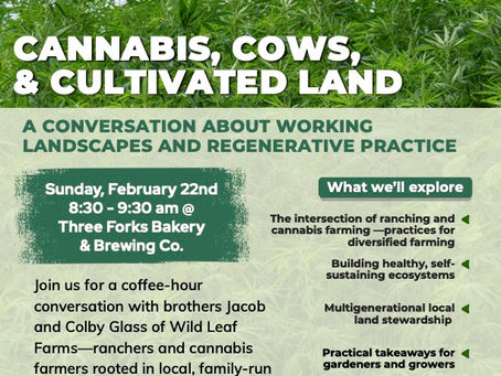 Cannabis, Cows, & Cultivated Land at Three Forks Bakery & Brewery