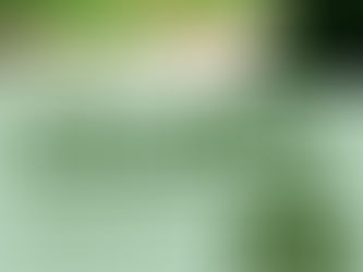 Cal/OSHA Online Course With Matt Hayashi of Cannabis Clearwater