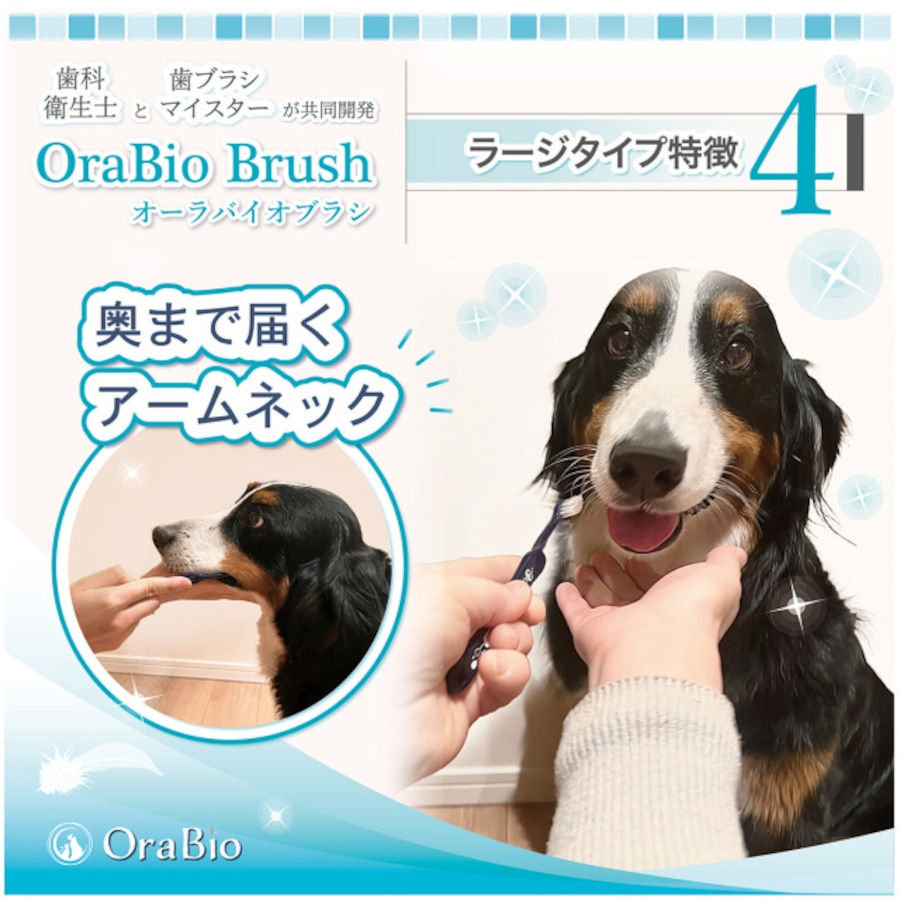 Thumbnail: OraBio Brush (Large Brush Length)