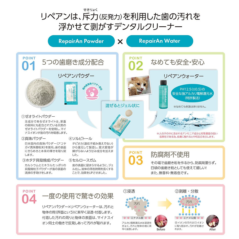Thumbnail: RepairAn Dental Cleaner (4 pieces)