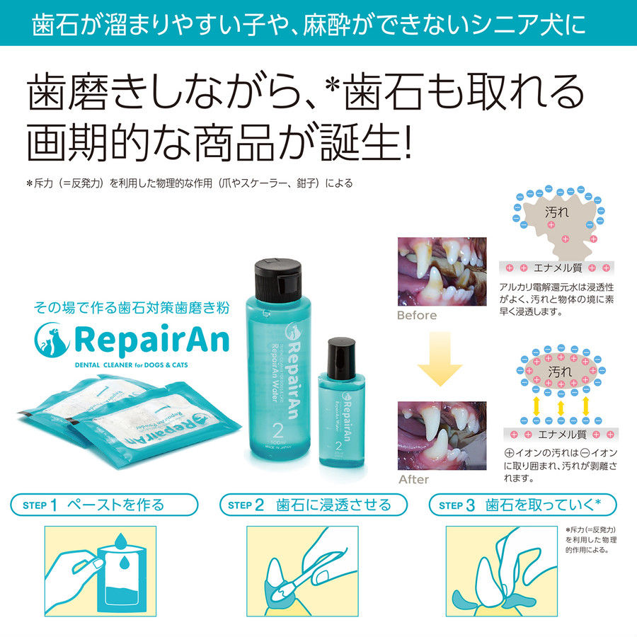Thumbnail: RepairAn Dental Cleaner (4 pieces)