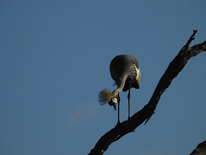 DSCN5465.JPG