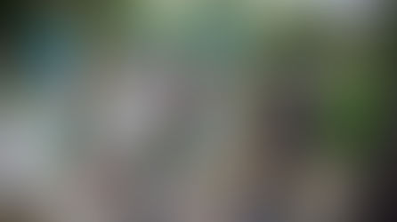 2024 DSR Kids Summer Camp Wrap Up