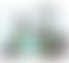 ¿Trabajar para mantener flojos?: Reparto equitativo de los recursos