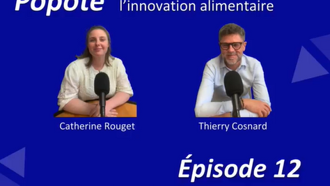 A quoi ressemblera la grande distribution demain ?