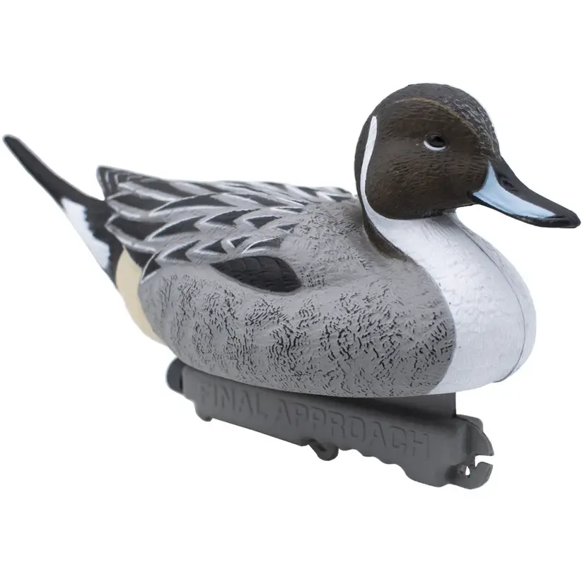 LAST PASS PINTAIL - 12 PACK
