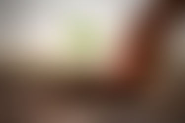 The Urban Tree Canopy Tool