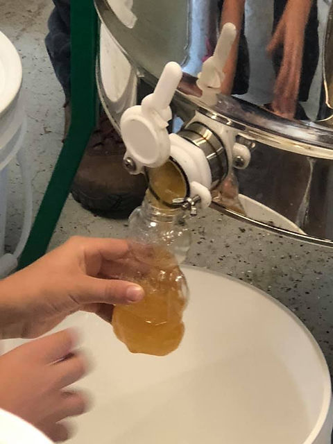 extraction 1.jpg