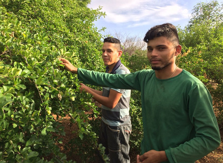 Aulas de Campo na EFA Dom Fragoso