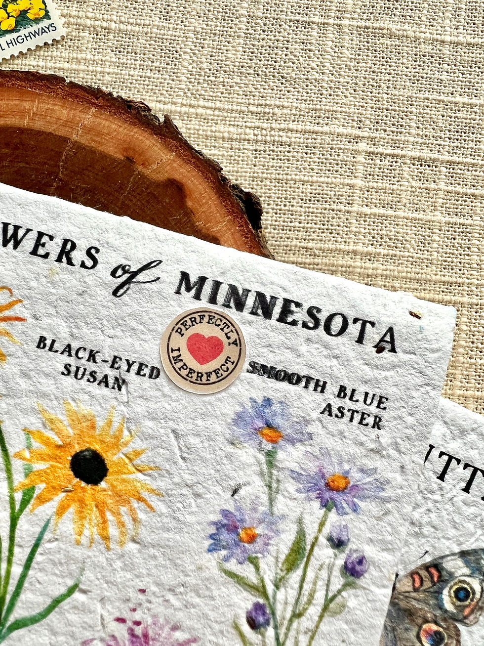 Thumbnail: "Perfectly Imperfect" Minnesota Grab-Bag Set of 5 Native Wildflower Seed Cards!