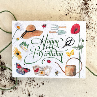 Notes of Eden Seed Cards