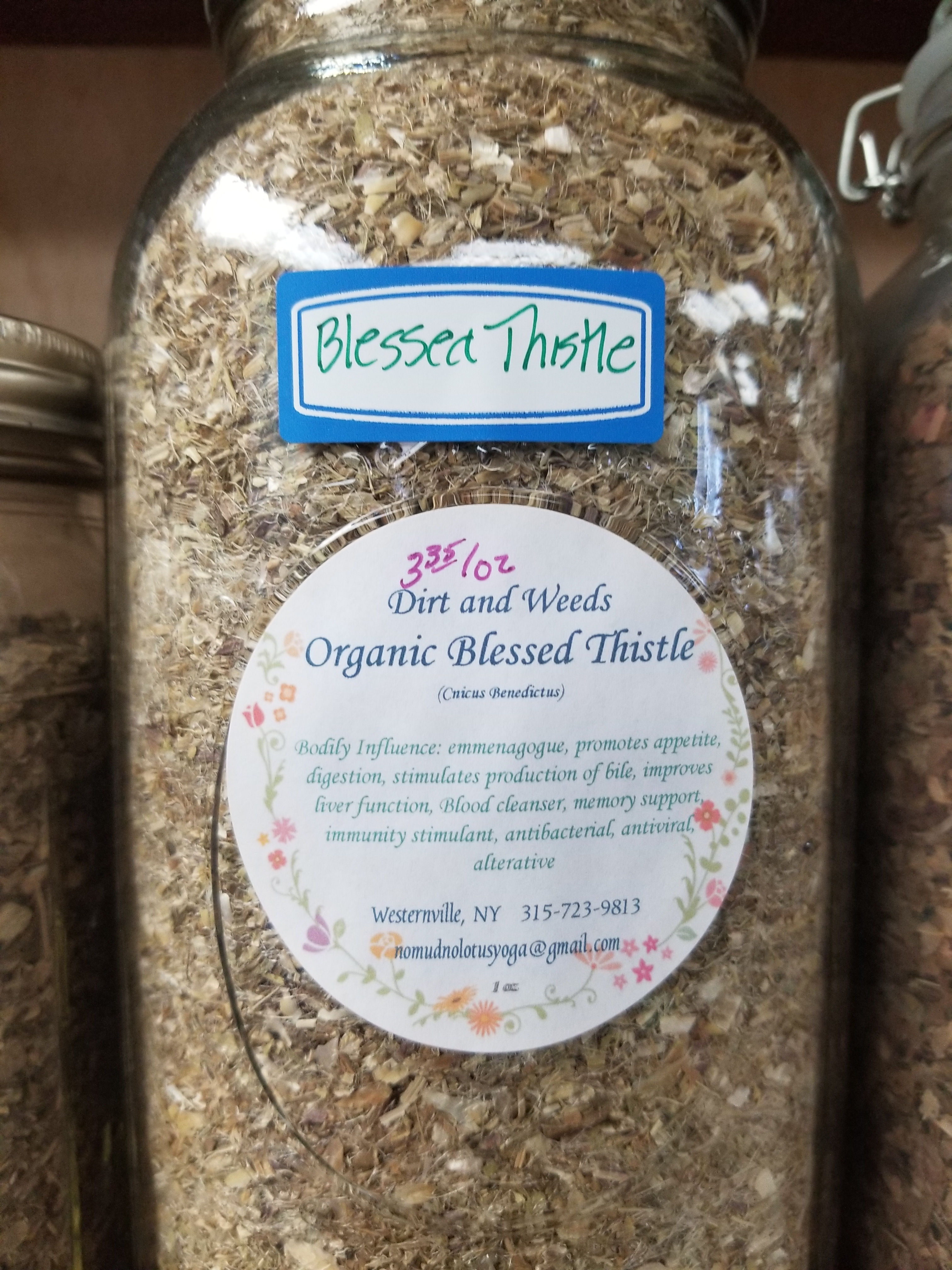 Blessed Thistle