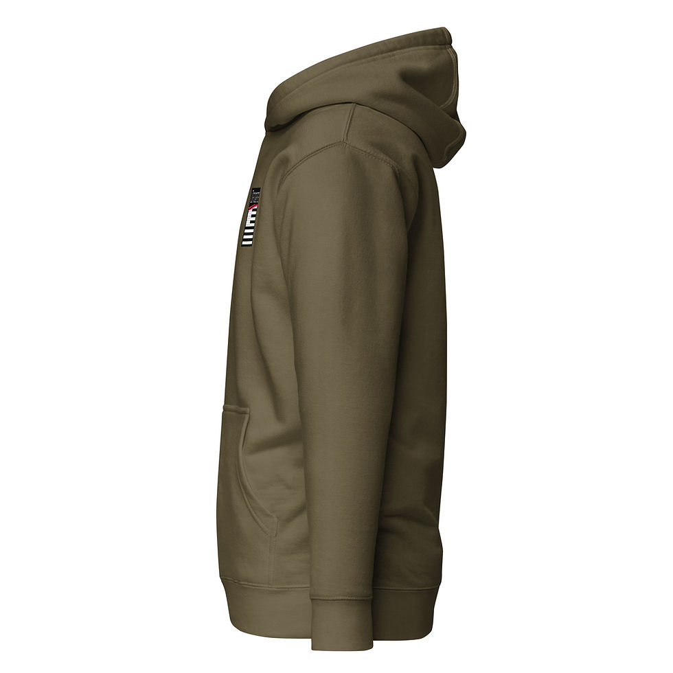 Thumbnail: American Pro Hoodie