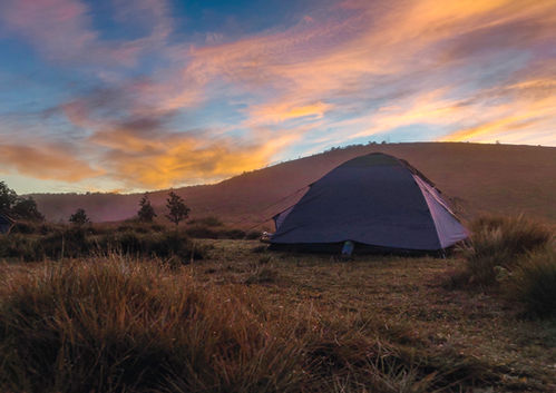 Camp tent in Horton Plains National park