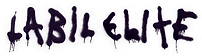 Destroy Degenhardt Labil Elite